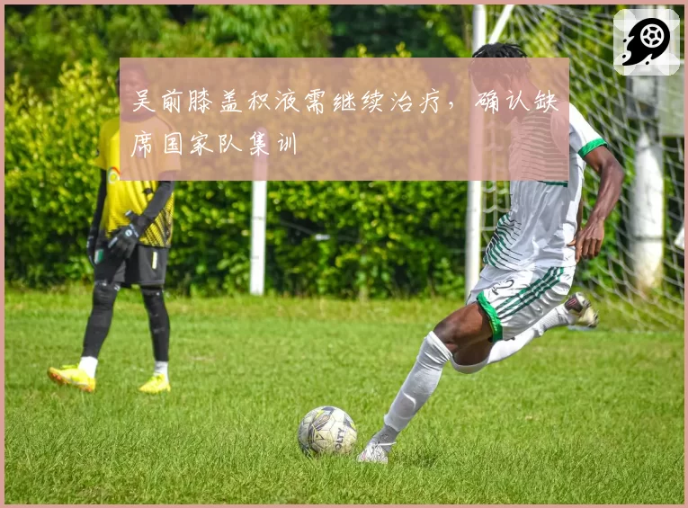 吴前膝盖积液需继续治疗,确认缺席国家队集训