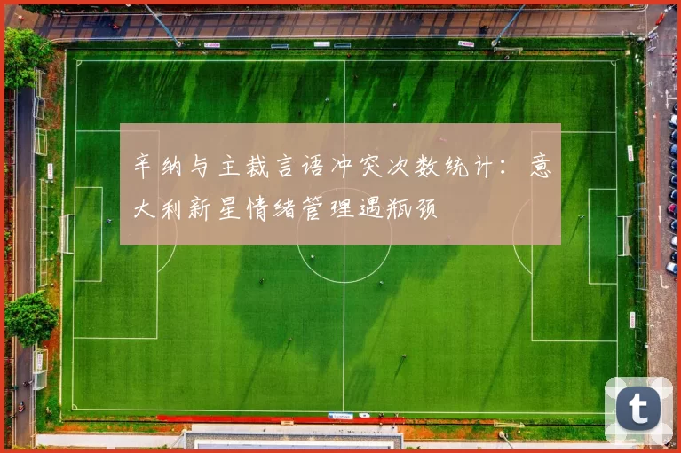 辛纳与主裁言语冲突次数统计：意大利新星情绪管理遇瓶颈